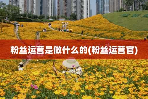 粉丝运营是做什么的(粉丝运营官)