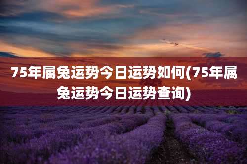 75年属兔运势今日运势如何(75年属兔运势今日运势查询)
