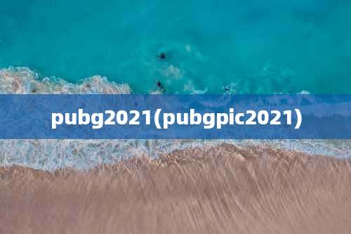 pubg2021(pubgpic2021)