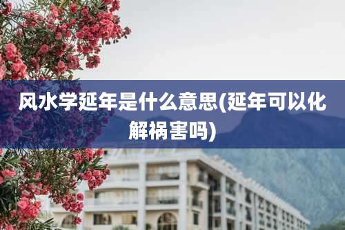 风水学延年是什么意思(延年可以化解祸害吗)