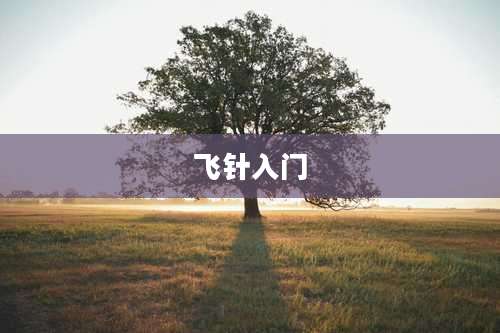 飞针入门