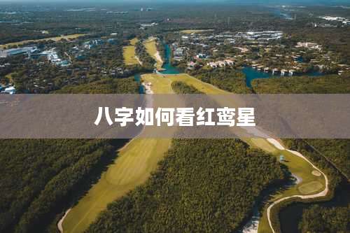 八字如何看红鸾星