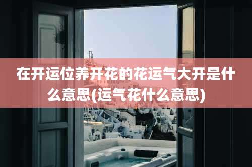 在开运位养开花的花运气大开是什么意思(运气花什么意思)
