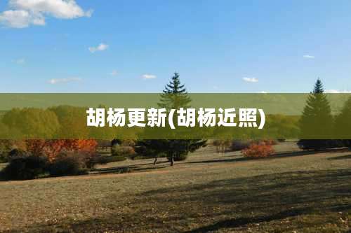 胡杨更新(胡杨近照)