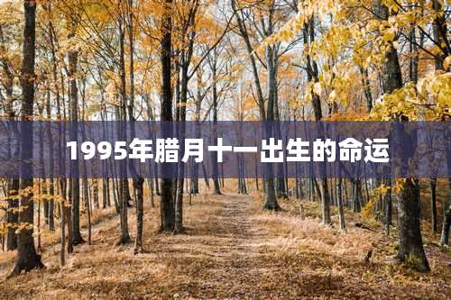 1995年腊月十一出生的命运