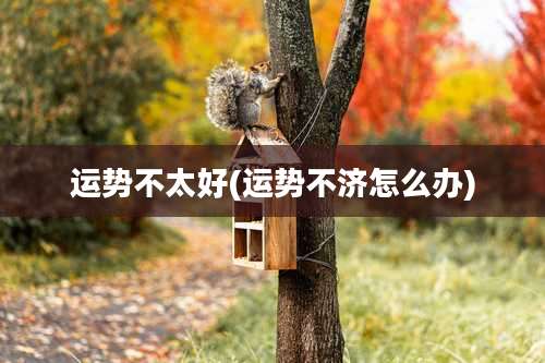 运势不太好(运势不济怎么办)