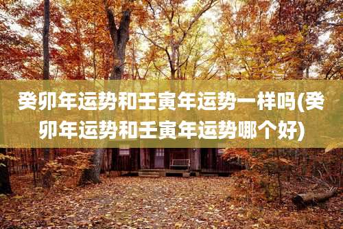 癸卯年运势和壬寅年运势一样吗(癸卯年运势和壬寅年运势哪个好)