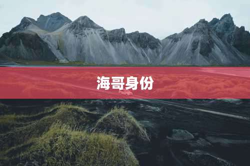 海哥身份