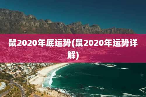 鼠2020年底运势(鼠2020年运势详解)