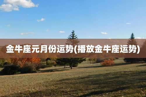 金牛座元月份运势(播放金牛座运势)