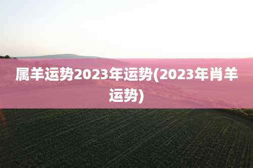 属羊运势2023年运势(2023年肖羊运势)