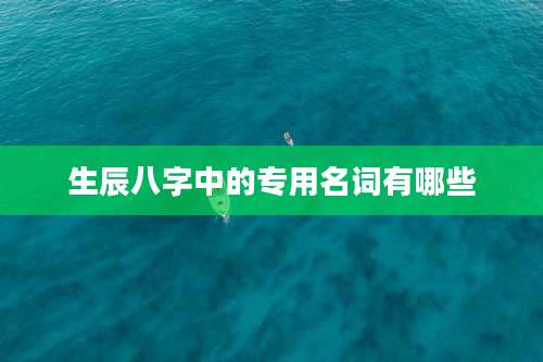 生辰八字中的专用名词有哪些