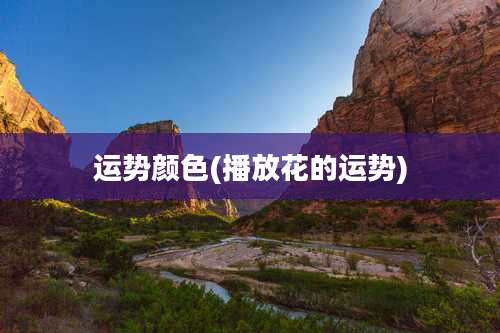 运势颜色(播放花的运势)