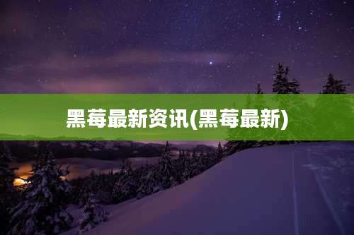 黑莓最新资讯(黑莓最新)