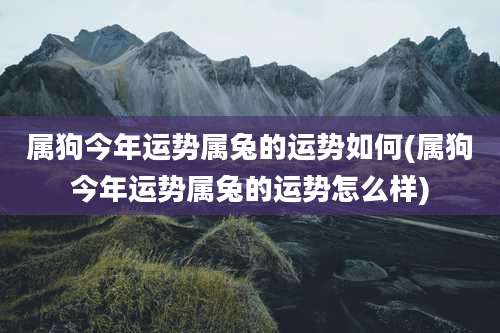 属狗今年运势属兔的运势如何(属狗今年运势属兔的运势怎么样)