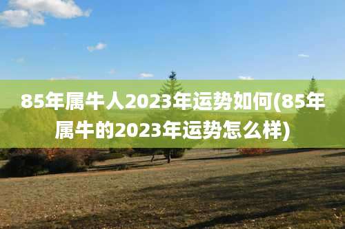 85年属牛人2023年运势如何(85年属牛的2023年运势怎么样)