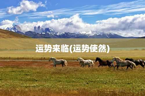 运势来临(运势使然)