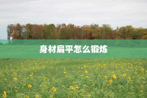 身材扁平怎么锻炼