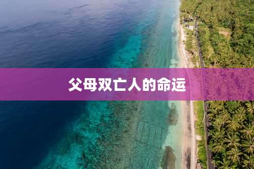 父母双亡人的命运