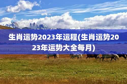 生肖运势2023年运程(生肖运势2023年运势大全每月)