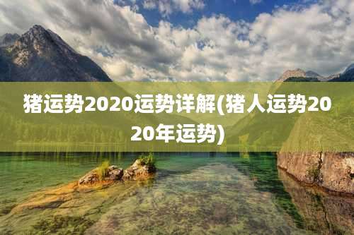 猪运势2020运势详解(猪人运势2020年运势)