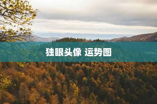 独眼头像 运势图