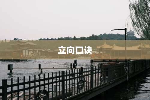 立向口诀