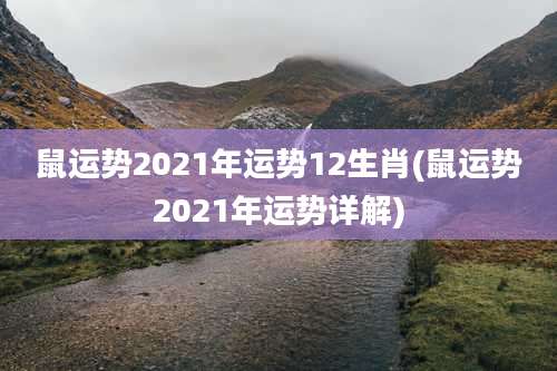 鼠运势2021年运势12生肖(鼠运势2021年运势详解)