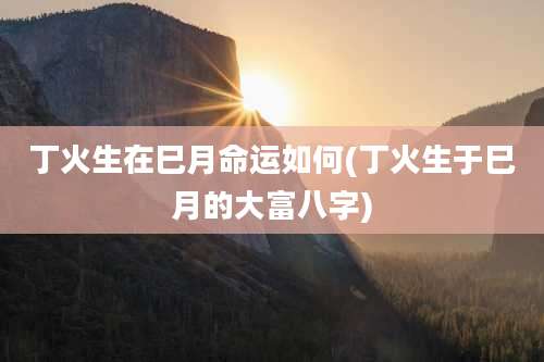 丁火生在巳月命运如何(丁火生于巳月的大富八字)