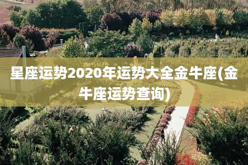 星座运势2020年运势大全金牛座(金牛座运势查询)