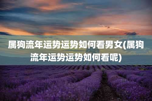 属狗流年运势运势如何看男女(属狗流年运势运势如何看呢)