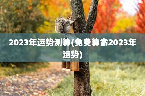 2023年运势测算(免费算命2023年运势)