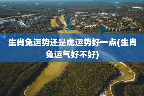 生肖兔运势还是虎运势好一点(生肖兔运气好不好)