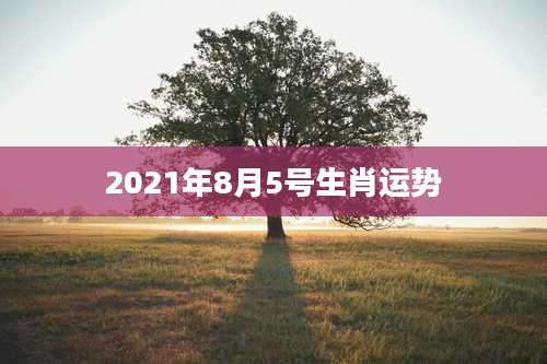 2021年8月5号生肖运势