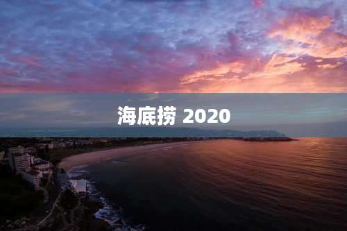 海底捞 2020