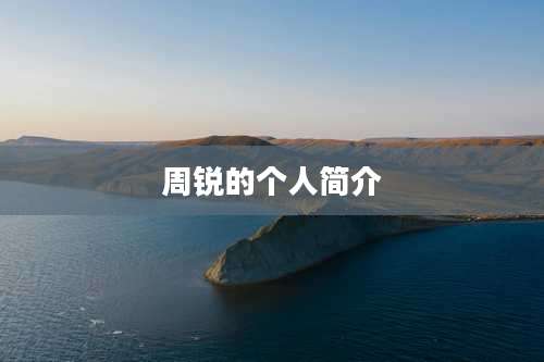 周锐的个人简介
