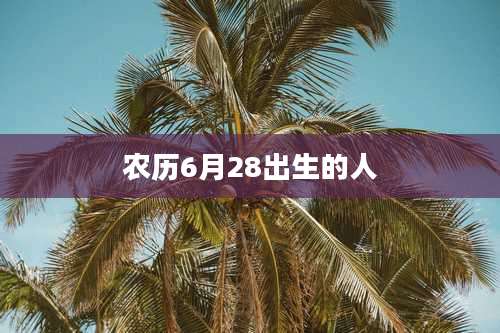 农历6月28出生的人