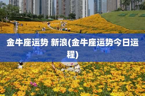 金牛座运势 新浪(金牛座运势今日运程)