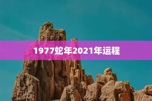 1977蛇年2021年运程