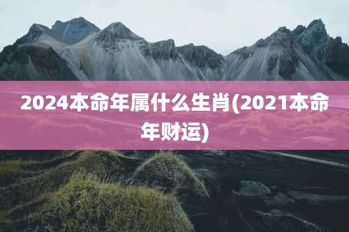 2024本命年属什么生肖(2021本命年财运)