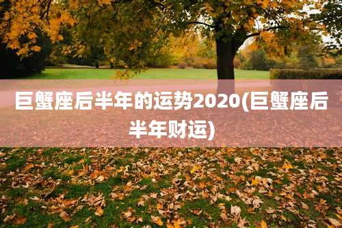 巨蟹座后半年的运势2020(巨蟹座后半年财运)