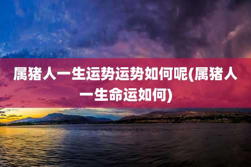 属猪人一生运势运势如何呢(属猪人一生命运如何)