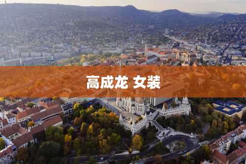 高成龙 女装