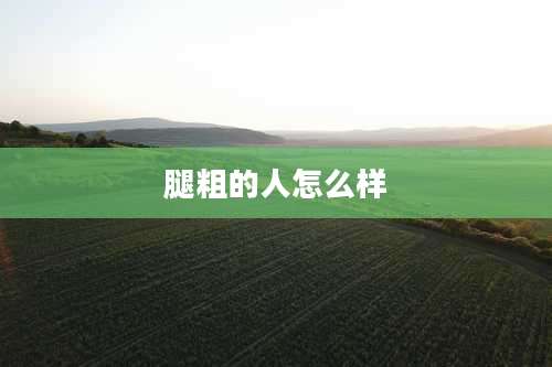 腿粗的人怎么样