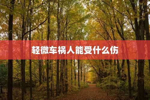 轻微车祸人能受什么伤