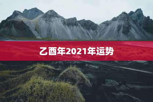 乙酉年2021年运势