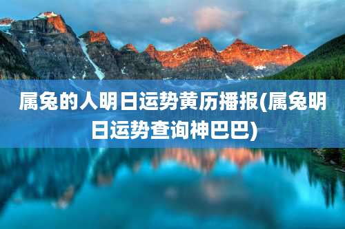 属兔的人明日运势黄历播报(属兔明日运势查询神巴巴)
