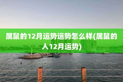 属鼠的12月运势运势怎么样(属鼠的人12月运势)