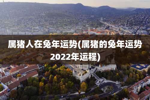 属猪人在兔年运势(属猪的兔年运势2022年运程)