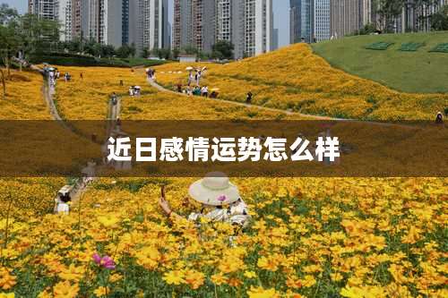 近日感情运势怎么样